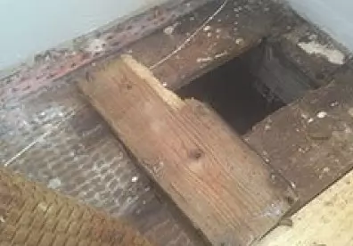 timber treatment