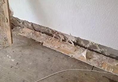 treating damaged timber